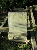 image of grave number 965858